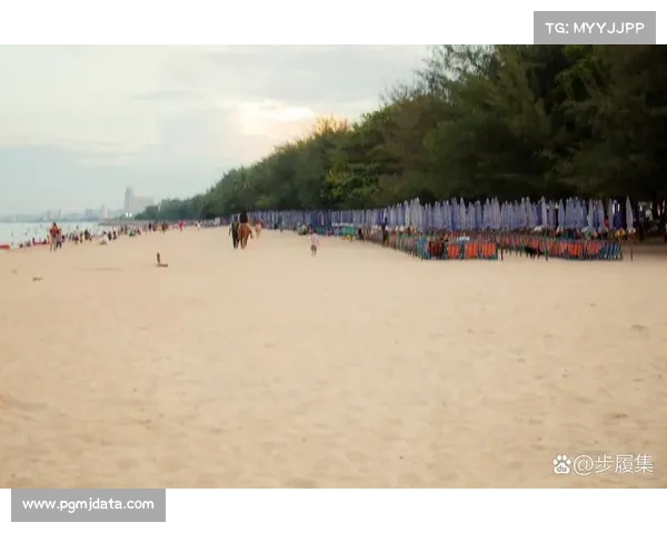 青岛第一海水浴场沙滩运动嘉年华盛大启幕 打造夏季休闲新风尚